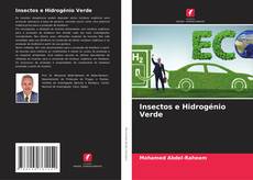 Insectos e Hidrogénio Verde kitap kapağı