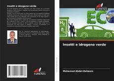 Capa do livro de Insetti e idrogeno verde 
