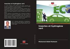 Buchcover von Insectes et hydrogène vert
