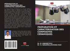 Bookcover of PRÉPARATION ET CARACTÉRISATION DES COMPOSITES CÉRAMIQUES