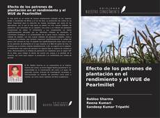Couverture de Efecto de los patrones de plantación en el rendimiento y el WUE de Pearlmillet