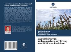 Auswirkung von Anbaumustern auf Ertrag und WUE von Perlhirse kitap kapağı