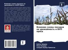 Bookcover of Влияние схемы посадки на урожайность и ВУП проса