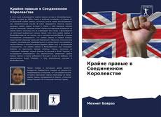Bookcover of Крайне правые в Соединенном Королевстве