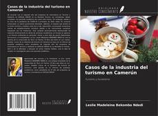 Bookcover of Casos de la industria del turismo en Camerún