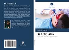 Bookcover of SILBERKUGELN