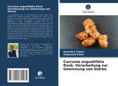 Bookcover of Curcuma angustifolia Roxb. Verarbeitung zur Gewinnung von Stärke