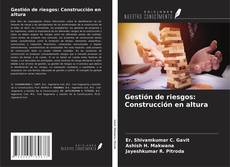 Bookcover of Gestión de riesgos: Construcción en altura