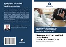 Management von vertikal integrierten Industrieunternehmen kitap kapağı