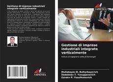 Capa do livro de Gestione di imprese industriali integrate verticalmente 
