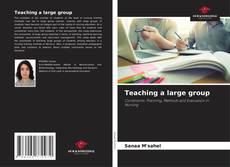 Bookcover of Teaching a large group