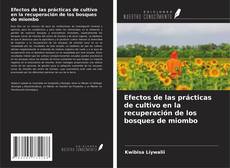 Capa do livro de Efectos de las prácticas de cultivo en la recuperación de los bosques de miombo 