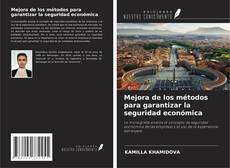 Couverture de Mejora de los métodos para garantizar la seguridad económica