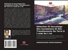 Buchcover von Détection Et Sauvetage Des Inondations Et Des Tremblements De Terre À L'aide De L'iot