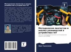 Методология пентестов и анализ уязвимостей в устройствах IoT的封面