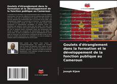 Goulets d'étranglement dans la formation et le développement de la fonction publique au Cameroun kitap kapağı
