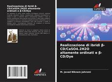 Realizzazione di ibridi β-CD/CaSO4.2H2O altamente ordinati e β-CD/Dye的封面