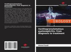 Bookcover of Xanthogranulomatous pyelonephritis: from diagnosis to treatment