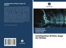 Bookcover of Intelligentes Drittes Auge für Blinde
