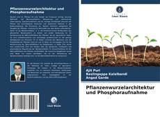 Bookcover of Pflanzenwurzelarchitektur und Phosphoraufnahme