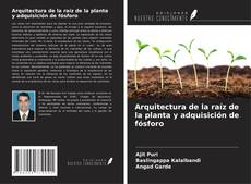 Buchcover von Arquitectura de la raíz de la planta y adquisición de fósforo