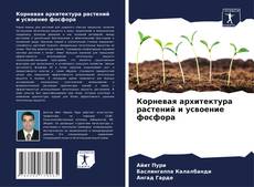 Portada del libro de Корневая архитектура растений и усвоение фосфора