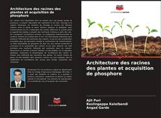 Обложка Architecture des racines des plantes et acquisition de phosphore