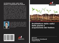 Couverture de Architettura delle radici delle piante e acquisizione del fosforo