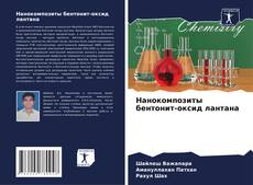 Обложка Нанокомпозиты бентонит-оксид лантана