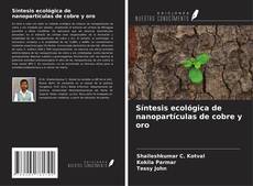 Bookcover of Síntesis ecológica de nanopartículas de cobre y oro