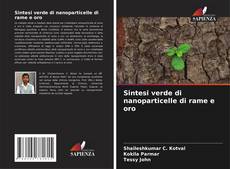 Bookcover of Sintesi verde di nanoparticelle di rame e oro