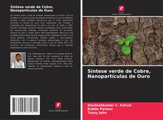 Buchcover von Síntese verde de Cobre, Nanopartículas de Ouro