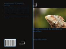 Portada del libro de Biodiversidad de anfibios y reptiles