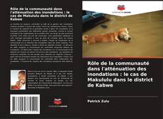 Bookcover of Rôle de la communauté dans l'atténuation des inondations : le cas de Makululu dans le district de Kabwe