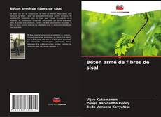 Buchcover von Béton armé de fibres de sisal
