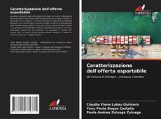Bookcover of Caratterizzazione dell'offerta esportabile