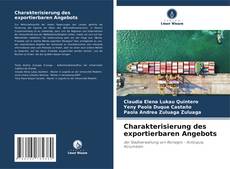 Buchcover von Charakterisierung des exportierbaren Angebots