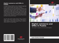 Couverture de Digital commerce and SMEs in Puebla