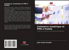 Capa do livro de Commerce numérique et PME à Puebla 