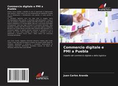 Capa do livro de Commercio digitale e PMI a Puebla 