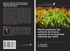 Bookcover of Efecto protector del extracto de Acorus calamus en la toxicidad inducida por Alcl3