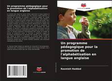 Un programme pédagogique pour la promotion de l'alphabétisation en langue anglaise kitap kapağı