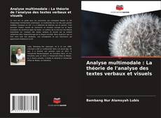Copertina di Analyse multimodale : La théorie de l'analyse des textes verbaux et visuels