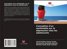 Copertina di Conception d'un multimédia sur la dépression chez les adolescents