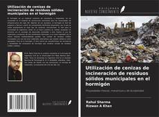 Capa do livro de Utilización de cenizas de incineración de residuos sólidos municipales en el hormigón 