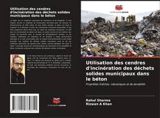 Bookcover of Utilisation des cendres d'incinération des déchets solides municipaux dans le béton