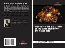 Copertina di Manual on the evaluation of the slope stability of the Castel site