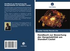 Handbuch zur Bewertung der Hangstabilität am Standort Castel kitap kapağı