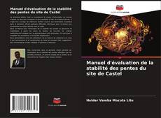 Bookcover of Manuel d'évaluation de la stabilité des pentes du site de Castel