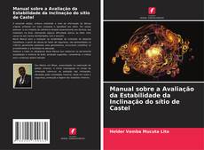 Buchcover von Manual sobre a Avaliação da Estabilidade da Inclinação do sítio de Castel